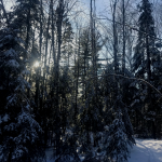 Boréal-secret des neiges